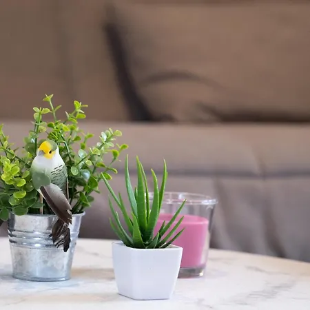 Les Balcons De St Martin 2 *